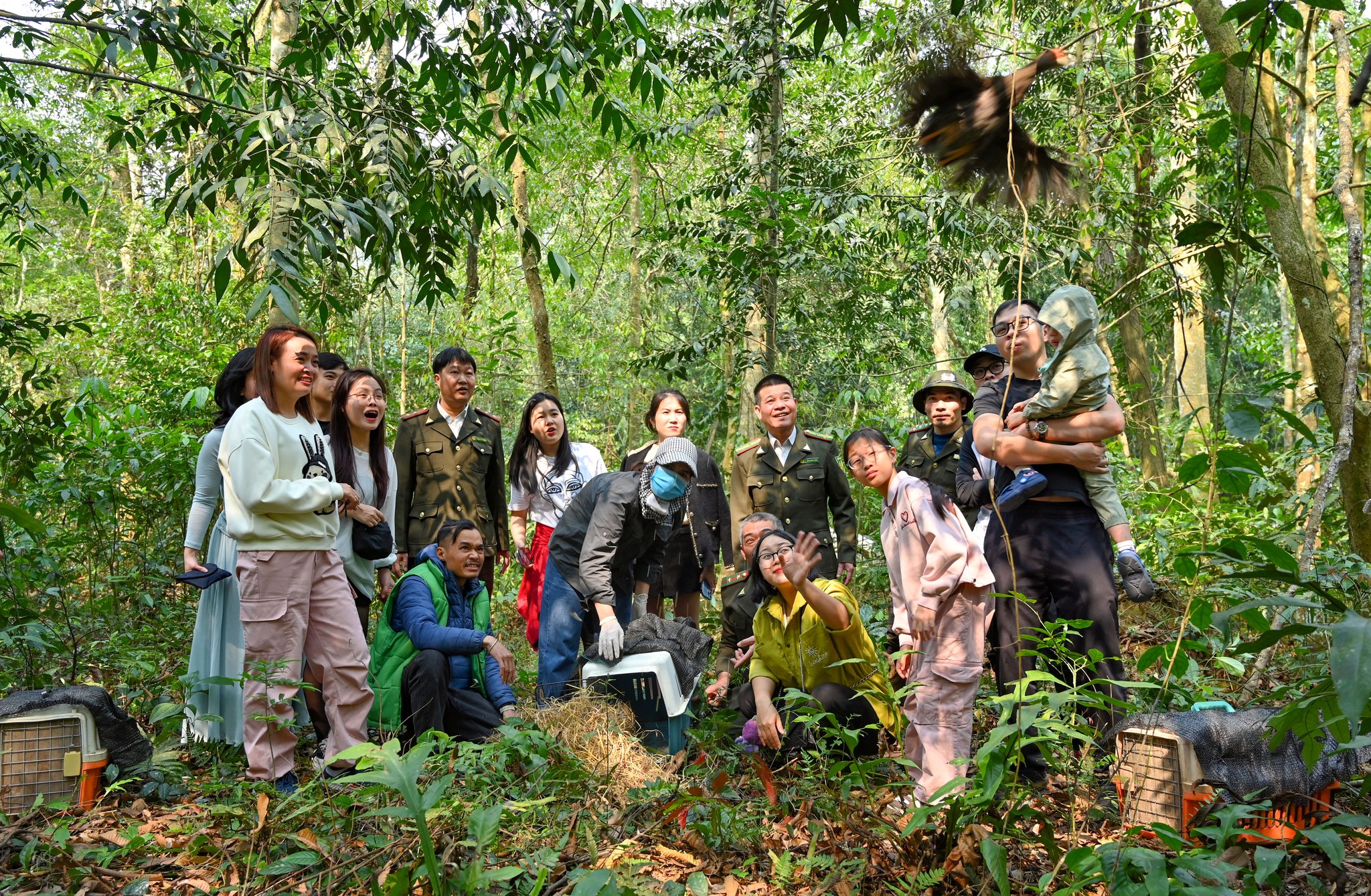 Rừng quốc gia C&uacute;c Phương.