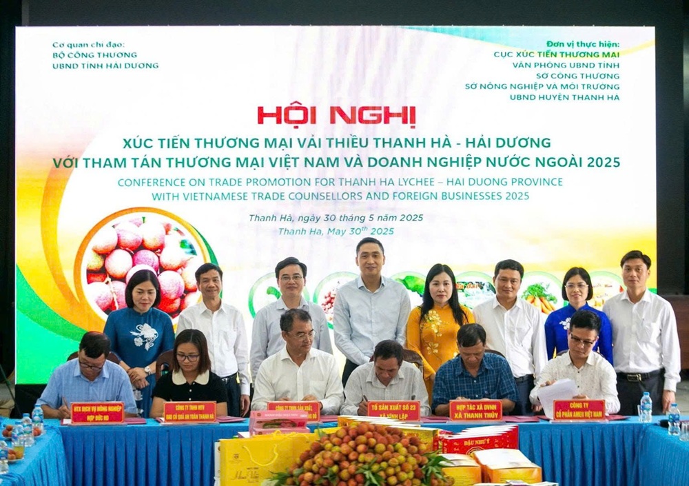 C&aacute;c doanh nghiệp v&agrave; c&aacute;c hợp t&aacute;c x&atilde; k&yacute; kết ti&ecirc;u thụ vải thiều Hải Dương.