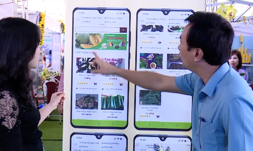 Ninh Bình, Quảng Bình mở đường cho doanh nghiệp đưa sản phẩm OCOP lên sàn thương mại điện tử