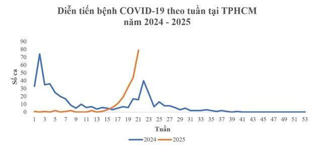 Diễn tiến ca bệnh Covid-19 theo tuần tại TP.HCM (2024-2025) - Nguồn: Sở Y tế TP.HCM
