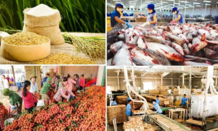 Sản xuất, tiêu thụ, xuất khẩu nông sản vẫn gặp phải không ít khó khăn.