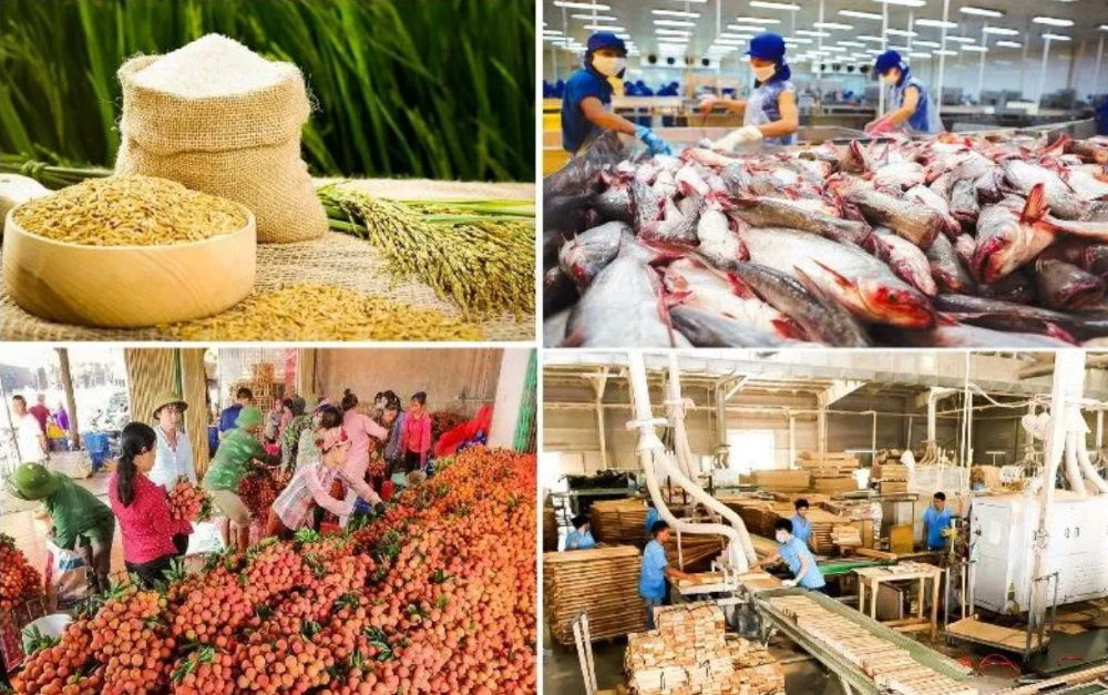 Sản xuất, tiêu thụ, xuất khẩu nông sản vẫn gặp phải không ít khó khăn.