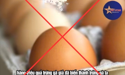 Thông tin về “trứng gà giả” tại Việt Nam là bịa đặt
