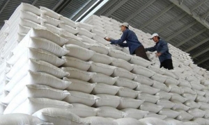 VCCI: Quy định Dự thảo về kinh doanh xuất khẩu gạo còn mang tư duy “không quản được thì cấm”
