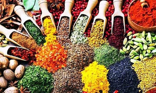 Tăng cường kiểm soát nghiêm ngặt chất lượng thuốc ngay từ nguyên liệu đầu vào