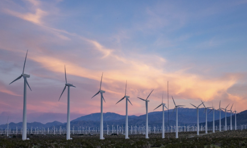 Điện gió có giá trần mới, cổ phiếu nào được gọi tên? 