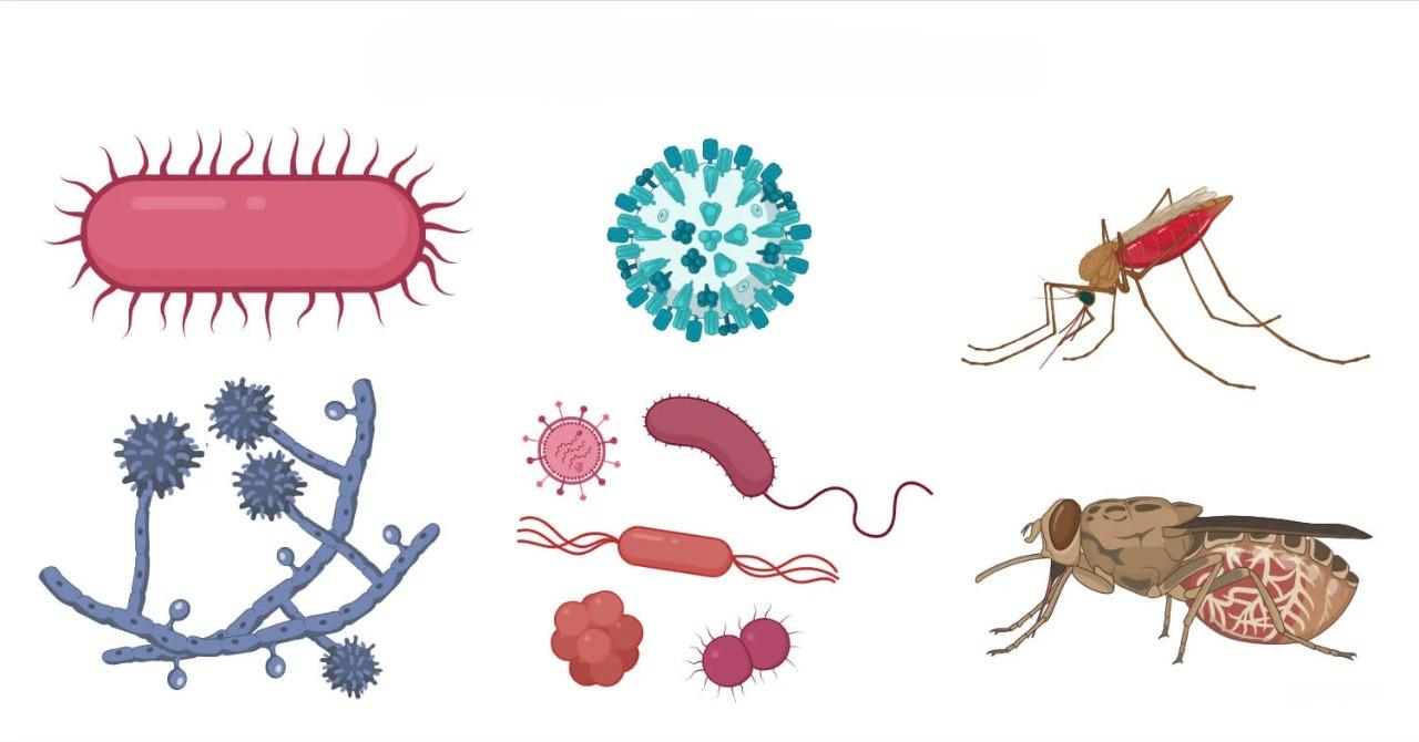 C&aacute;c bệnh truyền nhiễm thường gặp như c&uacute;m, vi&ecirc;m phổi, lao, Covid-19, sởi, sốt xuất huyết... đều c&oacute; thể g&acirc;y ra hậu quả nghi&ecirc;m trọng nếu kh&ocirc;ng được ph&ograve;ng ngừa v&agrave; điều trị kịp thời.