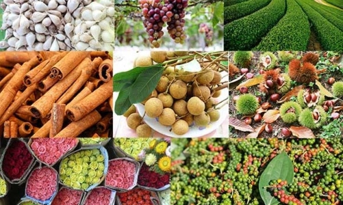 Xuất khẩu nông, lâm, thủy sản 5 tháng đầu năm: Hoa Kỳ vẫn là thị trường lớn nhất của Việt Nam