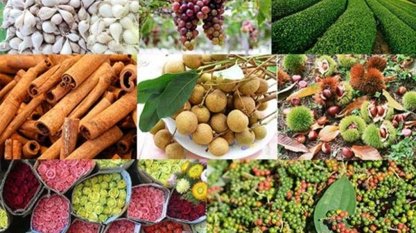 Xuất khẩu nông, lâm, thủy sản 5 tháng đầu năm: Hoa Kỳ vẫn là thị trường lớn nhất của Việt Nam