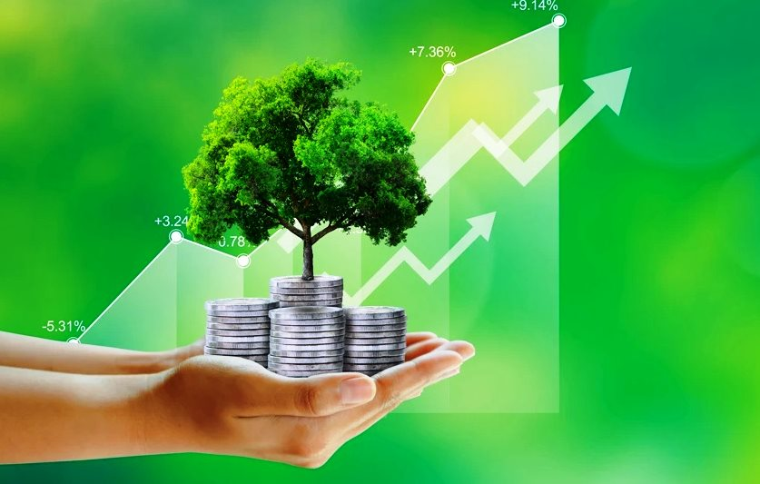 Khu vực tư nhân là trọng tâm trong nỗ lực chuyển dịch sang nền kinh tế carbon thấp, tăng trưởng xanh - Ảnh 3
