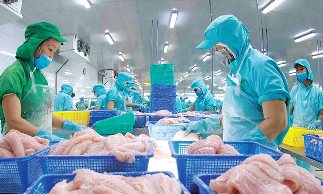 Xuất khẩu thủy sản tăng chậm lại trong tháng 5/2025 do biến động thị trường và sự thiếu chắc chắn về chính sách.