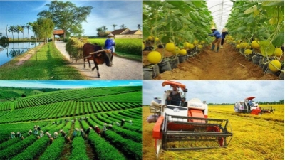 Central Steering Committee for national target programs set up