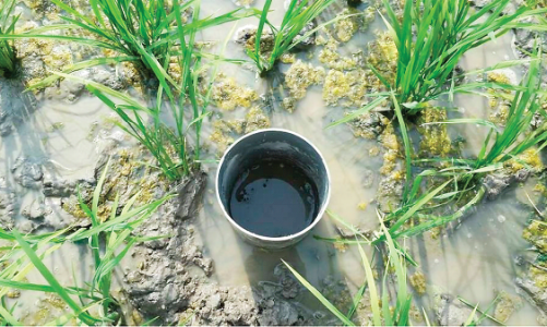 Đăng ký thành công tín chỉ carbon theo tiêu chuẩn Verra