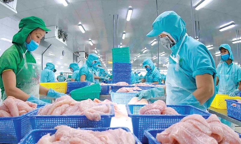 Vietnam's seafood export growth slows in May due to US tariff policy