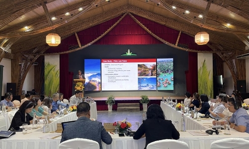 Phát triển các mô hình du lịch xanh theo tiêu chuẩn quốc tế tại Quảng Nam