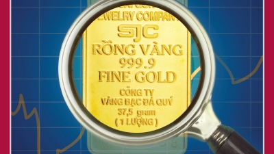 Vietnam Economic Times June 09, 2025