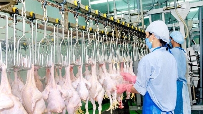 Singapore wants to import more types of food products from Vietnam