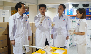 Indonesia là quốc gia thứ ba nhập khẩu vaccine dịch tả lợn châu Phi của Việt Nam