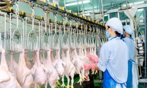 Singapore mong muốn mở rộng thêm các mặt hàng thực phẩm nhập khẩu từ Việt Nam