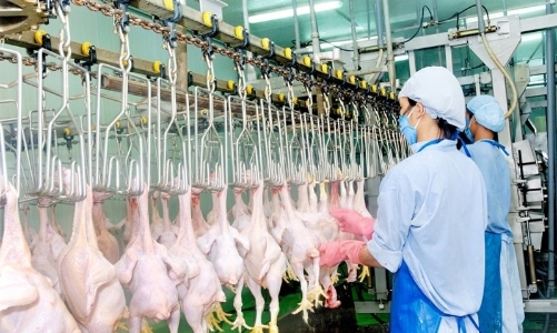 Singapore mong muốn mở rộng thêm các mặt hàng thực phẩm nhập khẩu từ Việt Nam