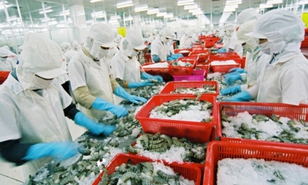 Tận dụng Hiệp định CPTPP để tăng xuất khẩu sang thị trường Canada