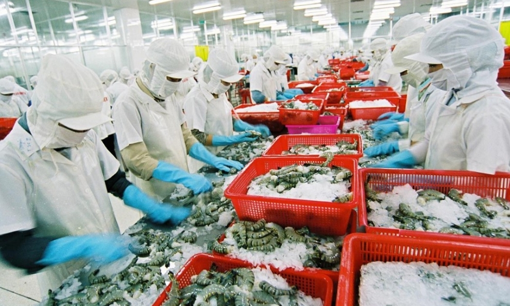 Thuỷ sản là một trong nhiều mặt hàng xuất khẩu chủ lực của Việt Nam sang thị trường Canada. Ảnh minh họa.