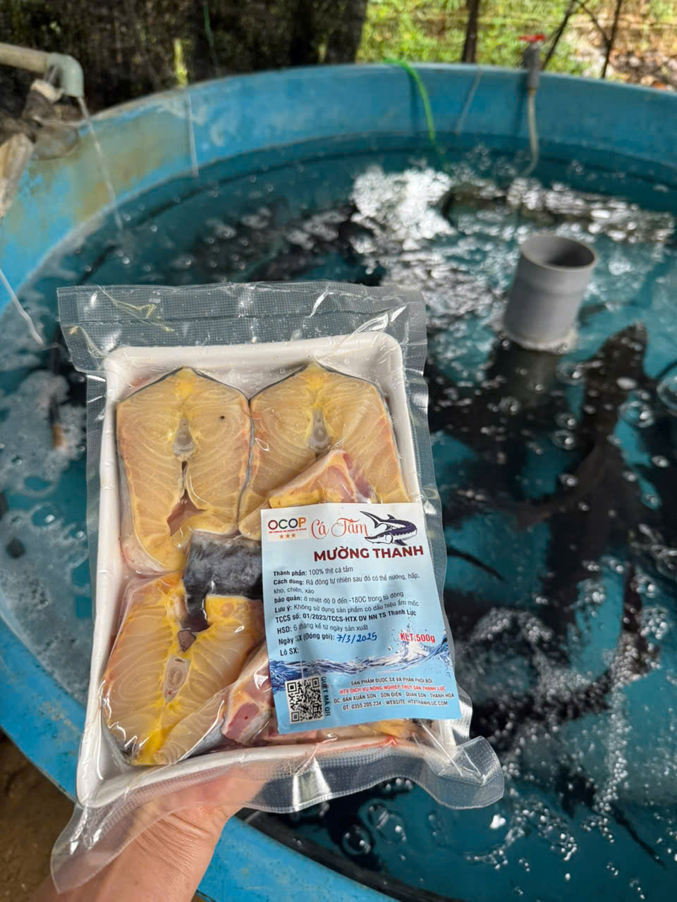 Sản phẩm c&aacute; tầm của hợp t&aacute;c x&atilde;&nbsp;được c&ocirc;ng nhận đạt chuẩn OCOP 3 sao cấp tỉnh.