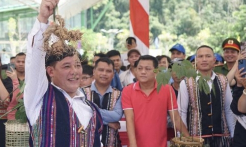 Sắp diễn ra Lễ hội quốc tế sâm Ngọc Linh và Dược liệu tại tỉnh Quảng Nam