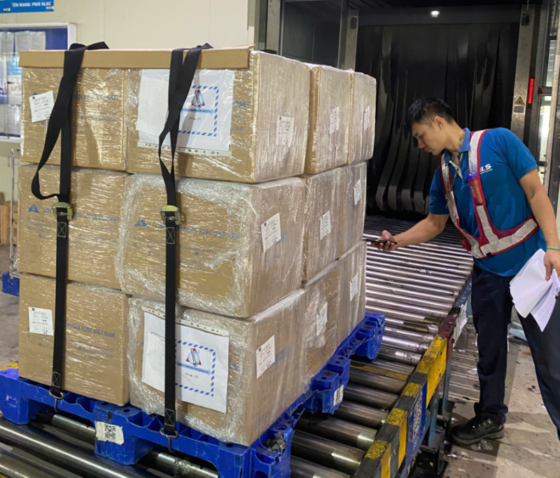 Indonesia becomes third nation to import Vietnamese ASF vaccine