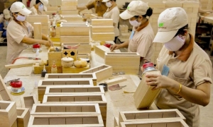 Xuất khẩu gỗ và sản phẩm gỗ cần những bước đi chiến lược mới