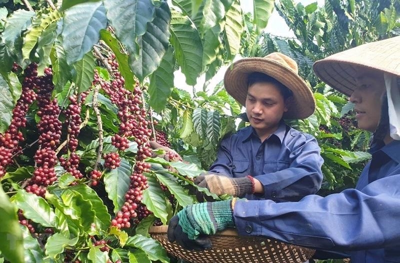 Vietnamese exporters brace for headwinds in Spanish market 