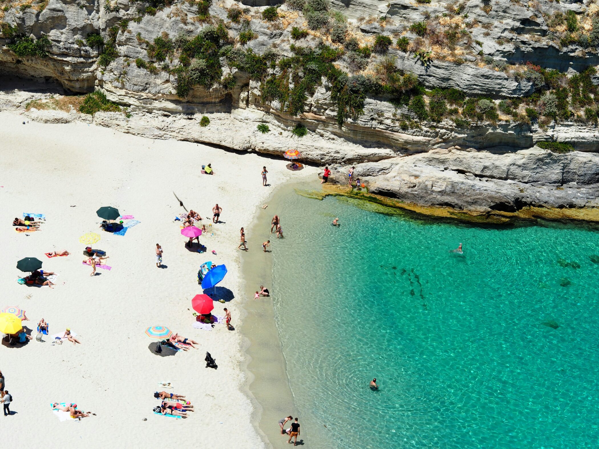 &Yacute; định đến thăm&nbsp;ch&acirc;u &Acirc;u&nbsp; đ&atilde; giảm từ 41% năm 2024 xuống c&ograve;n 39% trong năm nay.