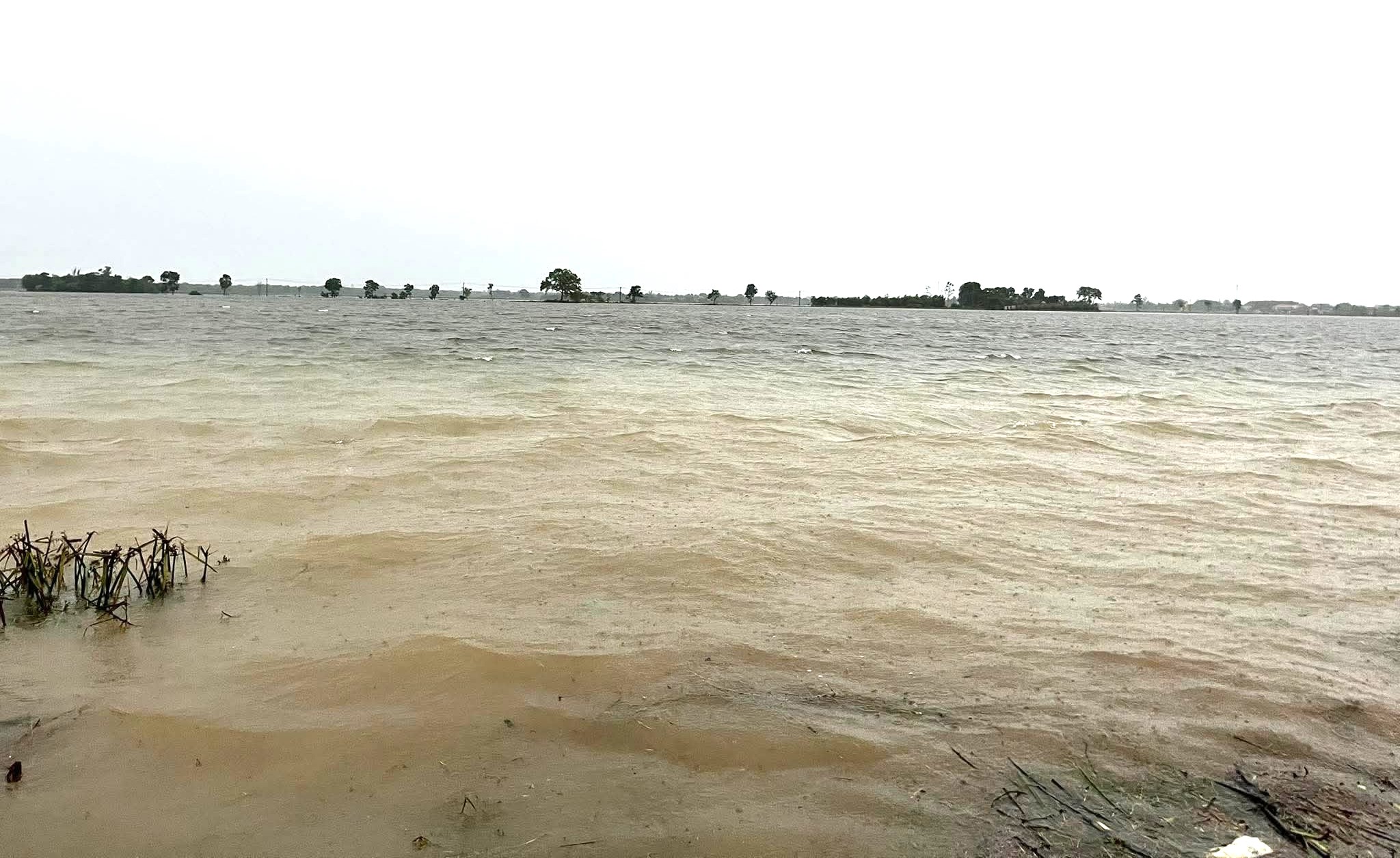 C&aacute;nh&nbsp;đồng l&uacute;a ngập s&acirc;u trong nước tại Hải Lăng, Quảng Trị