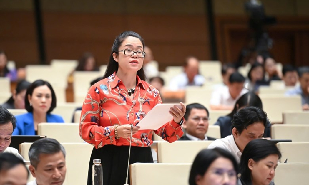 Đại biểu Dương Minh Ánh, đoàn ĐBQH TP. Hà Nội băn khoăn về đối tượng phải đóng kinh phí công đoàn.