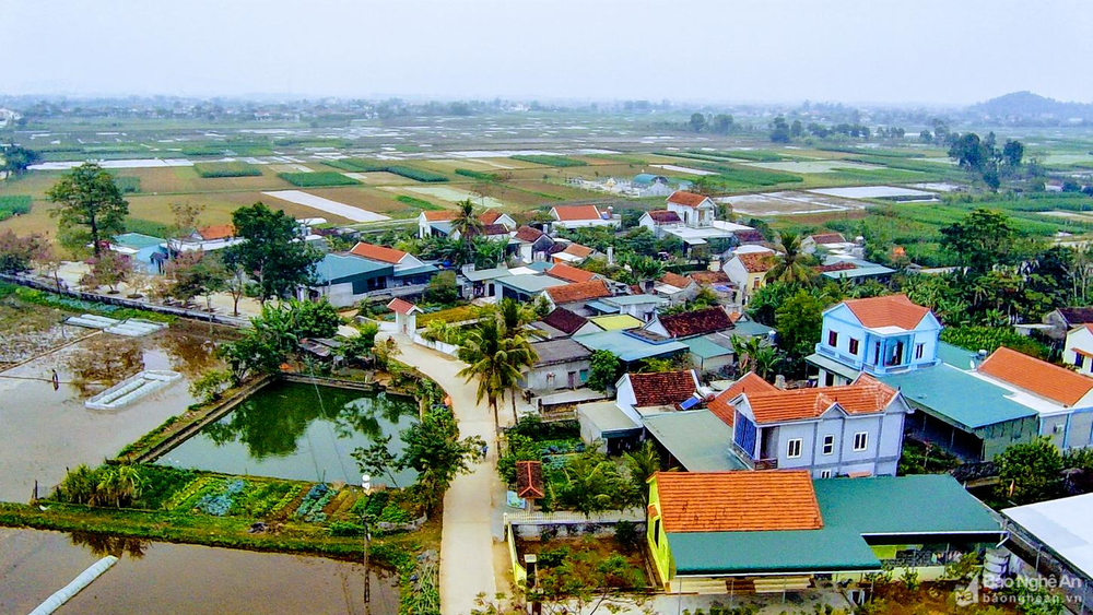 Xây dựng nông thôn mới hiện đại, văn minh.