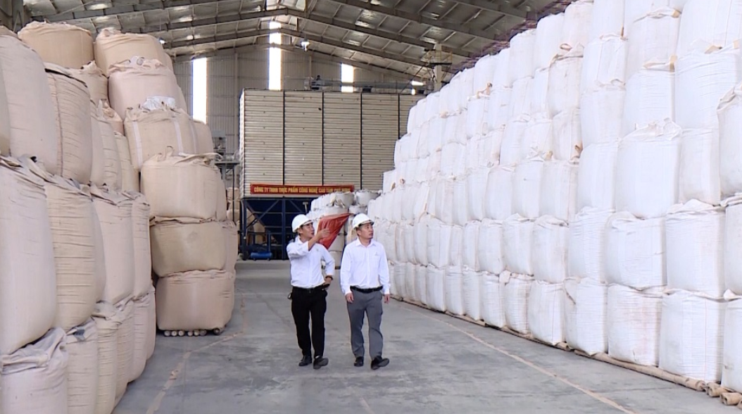 L&ocirc; h&agrave;ng 300 tấn gạo của C&ocirc;ng ty Cổ phần m&iacute;a đường Lam Sơn xuất sang thị trường Singapore l&agrave; d&ograve;ng sản phẩm gạo Japonica J02, được sản xuất từ giống l&uacute;a thuần c&oacute; nguồn gốc Nhật Bản, trồng theo quy tr&igrave;nh n&ocirc;ng nghiệp c&ocirc;ng nghệ hiện đại, ti&ecirc;u chuẩn chất lượng VietGAP.&nbsp;