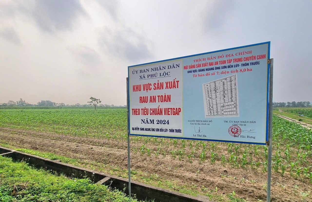 Quy hoạch v&ugrave;ng sản xuất rau an to&agrave;n theo ti&ecirc;u chuẩn VietGap ở x&atilde; Ph&uacute; Lộc