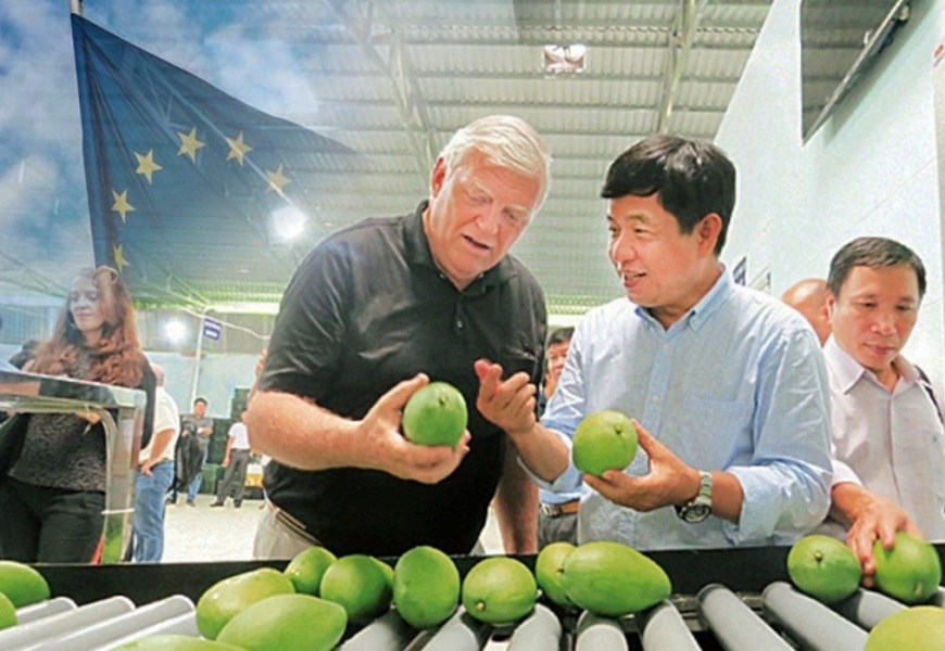 Những quy định mới của EU đang tạo ra áp lực lớn đối với các doanh nghiệp xuất khẩu nông sản, thực phẩm của Việt Nam. Ảnh minh họa.