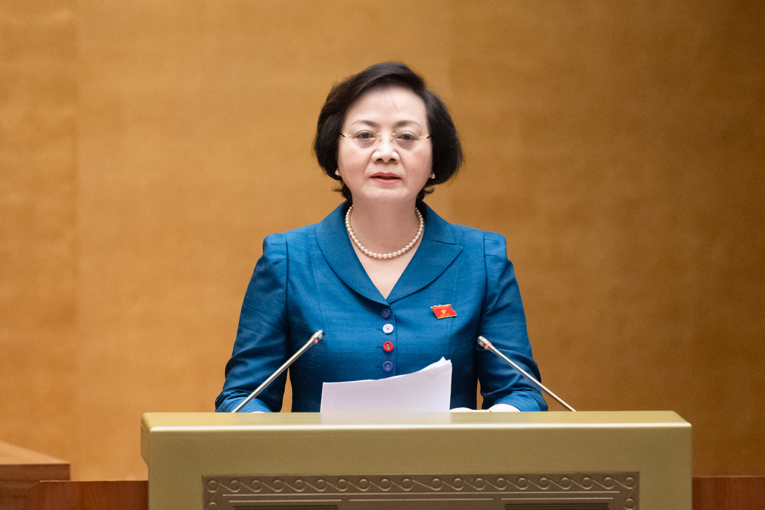 Bộ trưởng Bộ Nội vụ Phạm Thị Thanh Tr&agrave;.