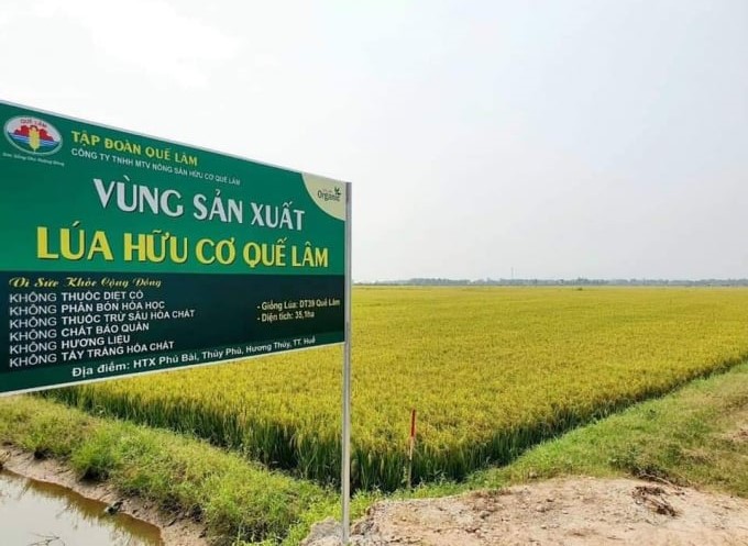 Huế ưu ti&ecirc;n ph&aacute;t triển sản xuất n&ocirc;ng nghiệp theo hướng ứng dụng c&ocirc;ng nghệ cao, n&ocirc;ng nghiệp hữu cơ, li&ecirc;n kết theo chuỗi gi&aacute; trị, gắn với thị trường ti&ecirc;u thụ, th&iacute;ch ứng với biến đổi kh&iacute; hậu v&agrave; bảo vệ m&ocirc;i trường.