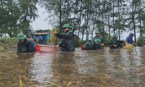 Quảng Trị dành 320 tỷ đồng khôi phục sản xuất sau mưa lũ bất thường