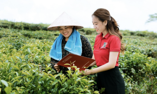 Dự án nông nghiệp tuần hoàn được vay không tài sản bảo đảm tới 70% giá trị dự án