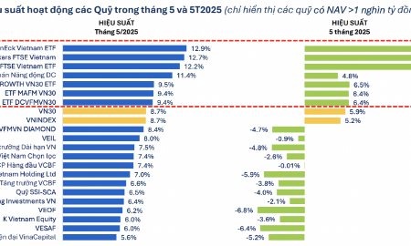 VN-Index hồi phục ngoạn mục, 22 quỹ cổ phiếu báo hiệu suất tăng kỷ lục trong một năm qua