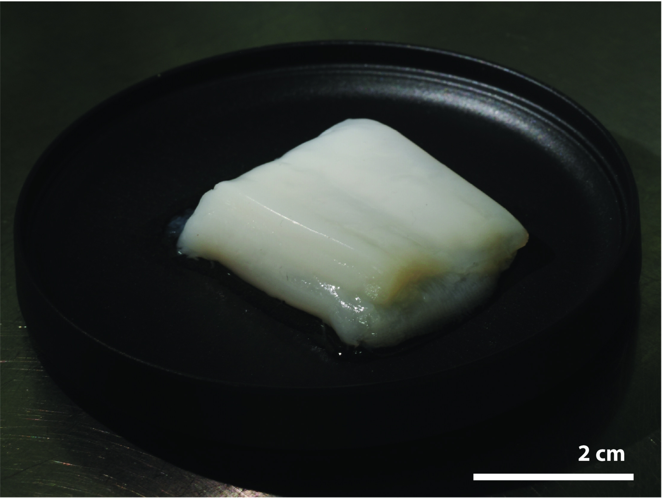 Miếng thịt gà nhân tạo nặng hơn 10g.