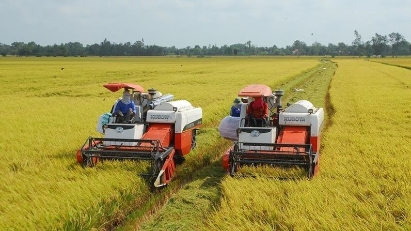 Toward a low-emission agriculture