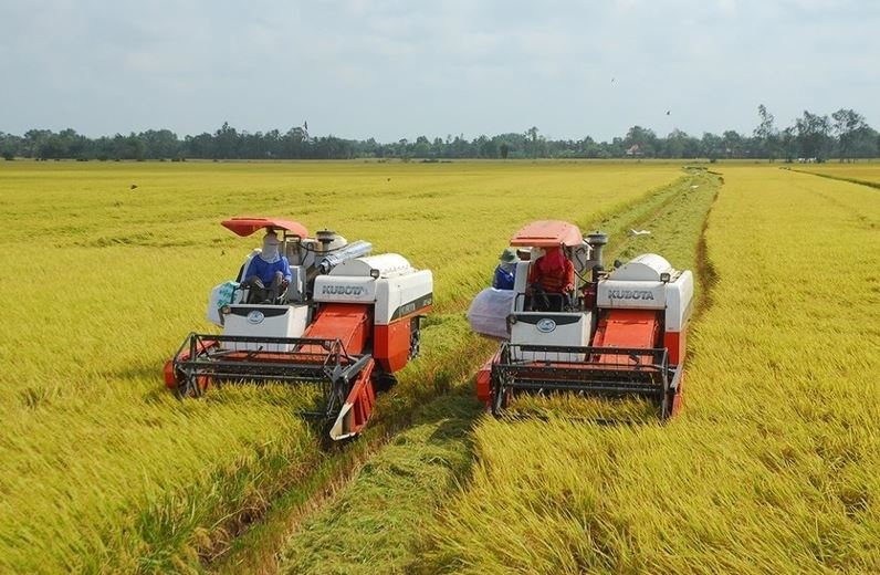 Toward a low-emission agriculture