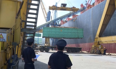 Hoạt động xuất nhập khẩu tại Cảng biển Nghi Sơn