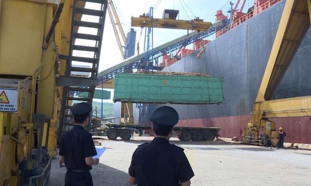 Hoạt động xuất nhập khẩu tại Cảng biển Nghi Sơn