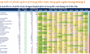 Hiệu suất bay cao, các quỹ cổ phiếu mạnh tay