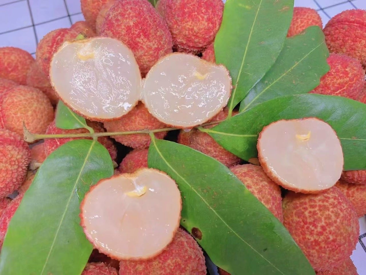 Ảnh minh họa.